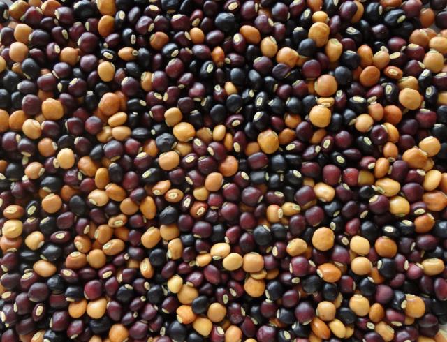 best name for pigeon peas