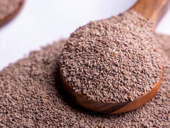 best name for psyllium