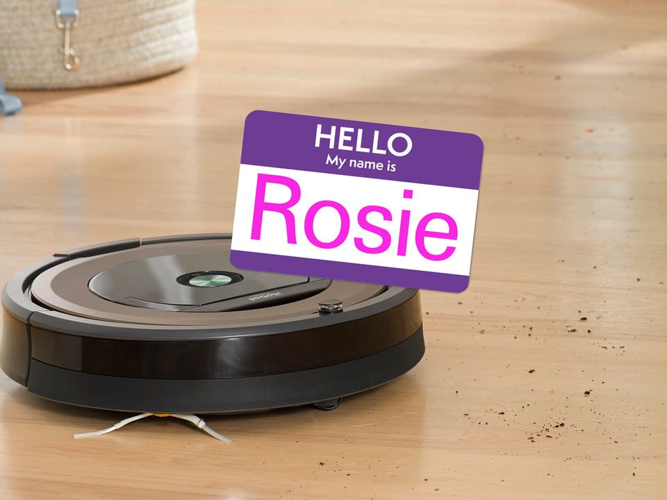 best name for roomba