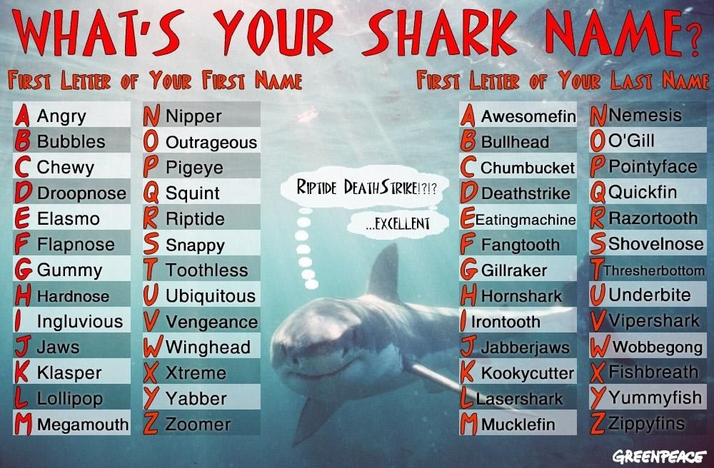 best name for shark