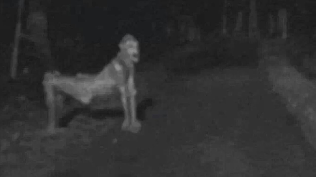 best name for skin walker