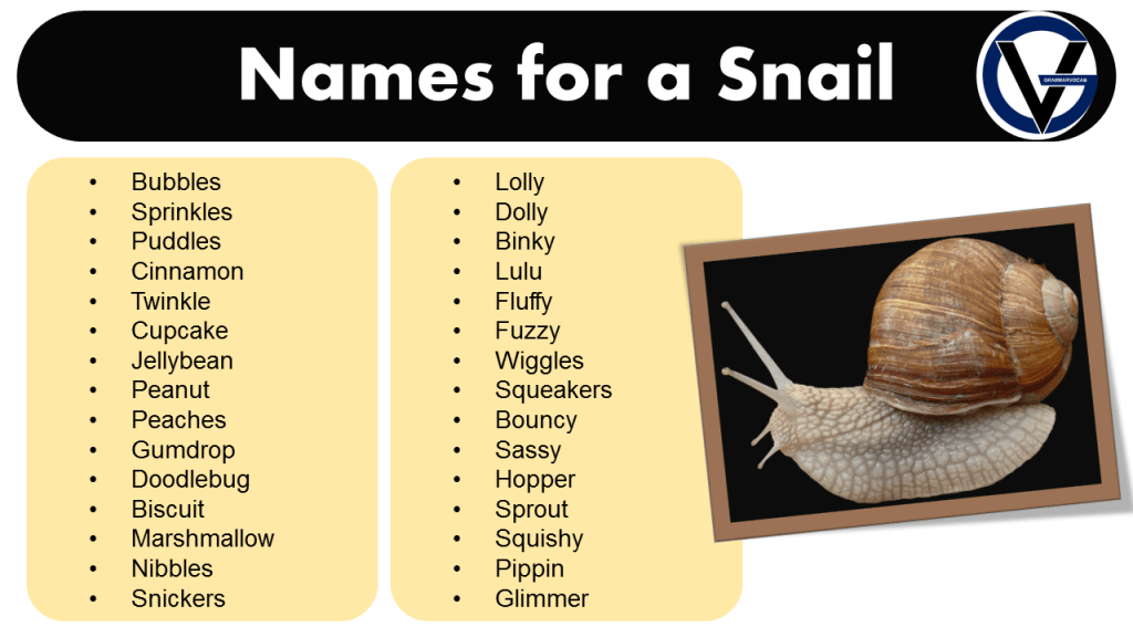 best name for snails