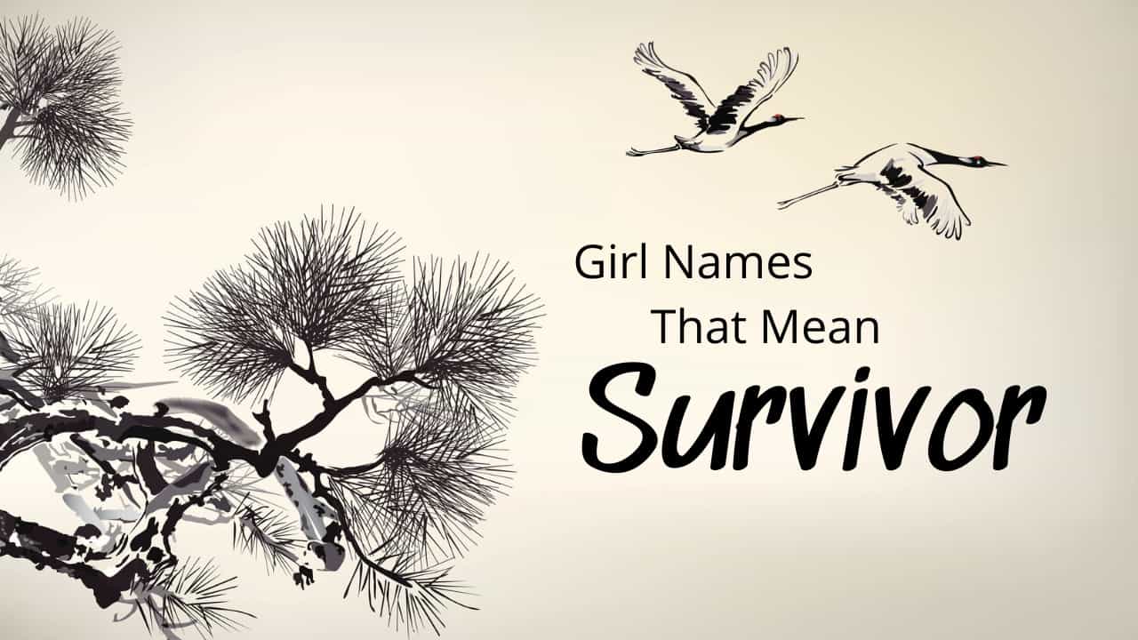 best name for survivor