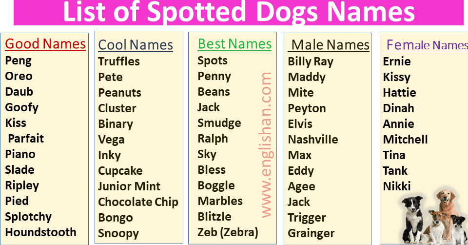 best name for tan dog