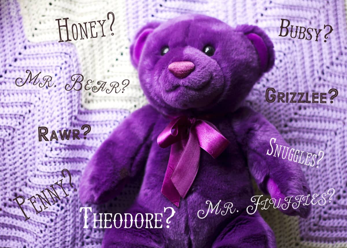best name for teddy bear