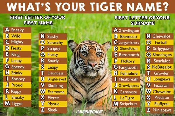 best name for tiger