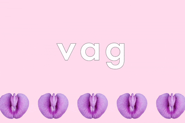 best name for vagina