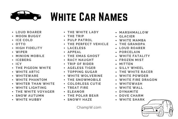 best name for white car