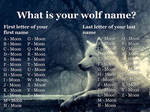 best name for wolf