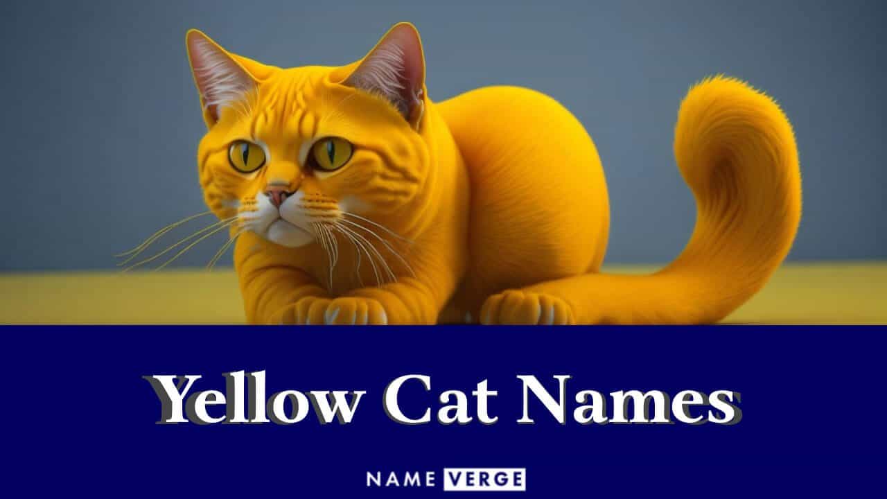 best name for yellow