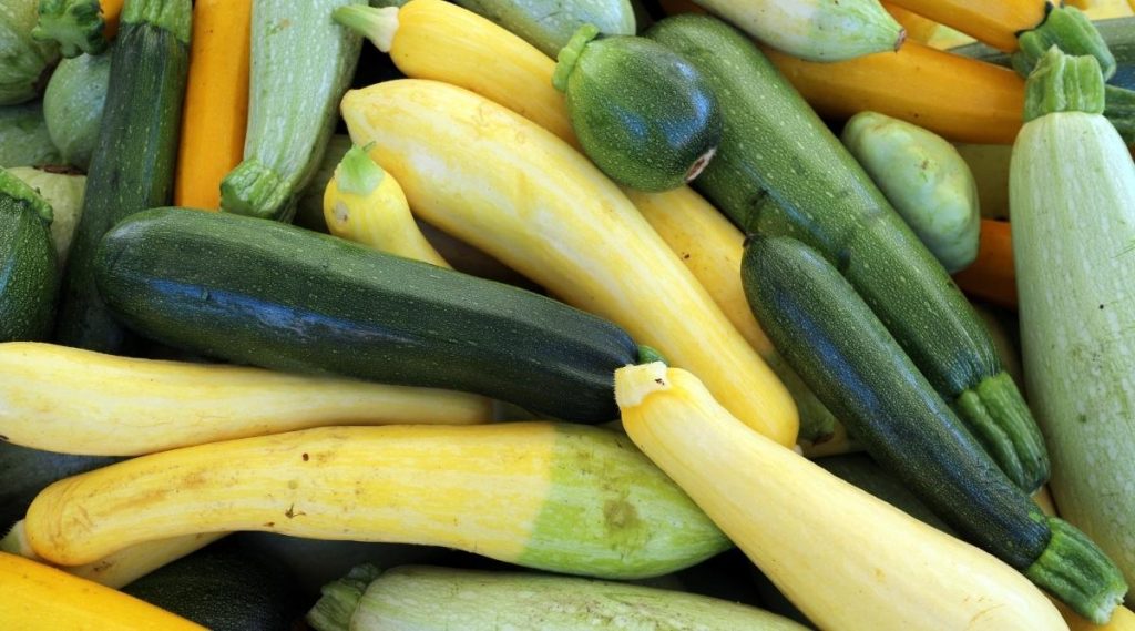 best name for zucchini