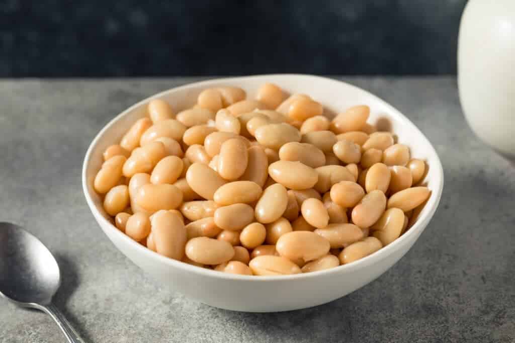 best other name for butter beans