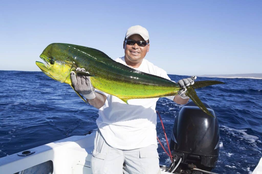 best other name for mahi mahi