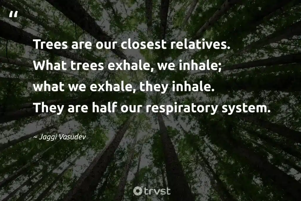 best save tree quotes