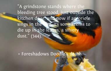 best scarlet ibis quotes