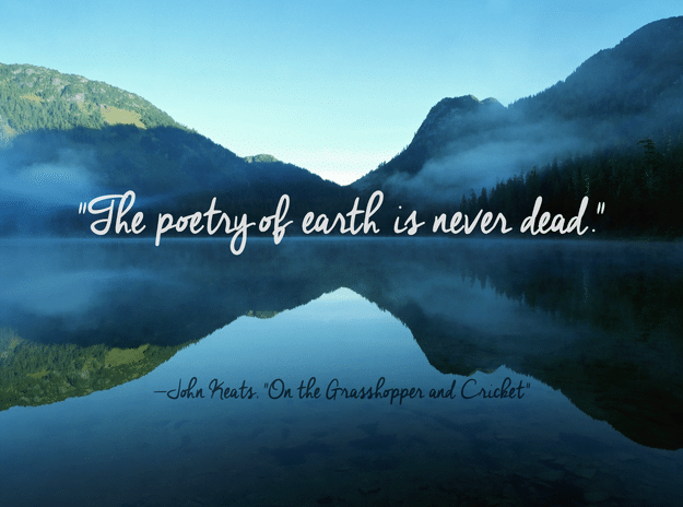 best scenic view quotes