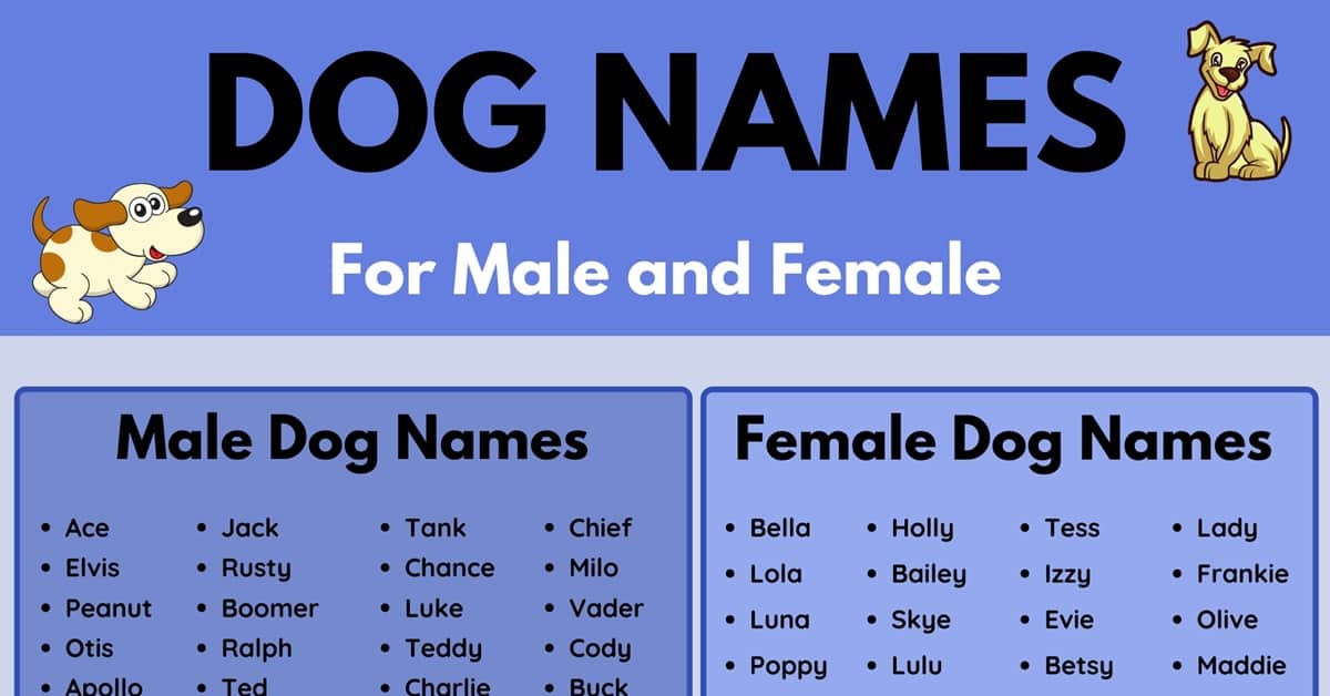 best scientific name for a male dog