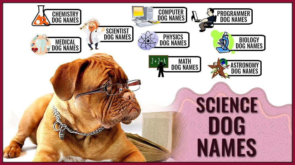 best scientific name for canine