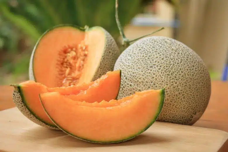 best scientific name for melon