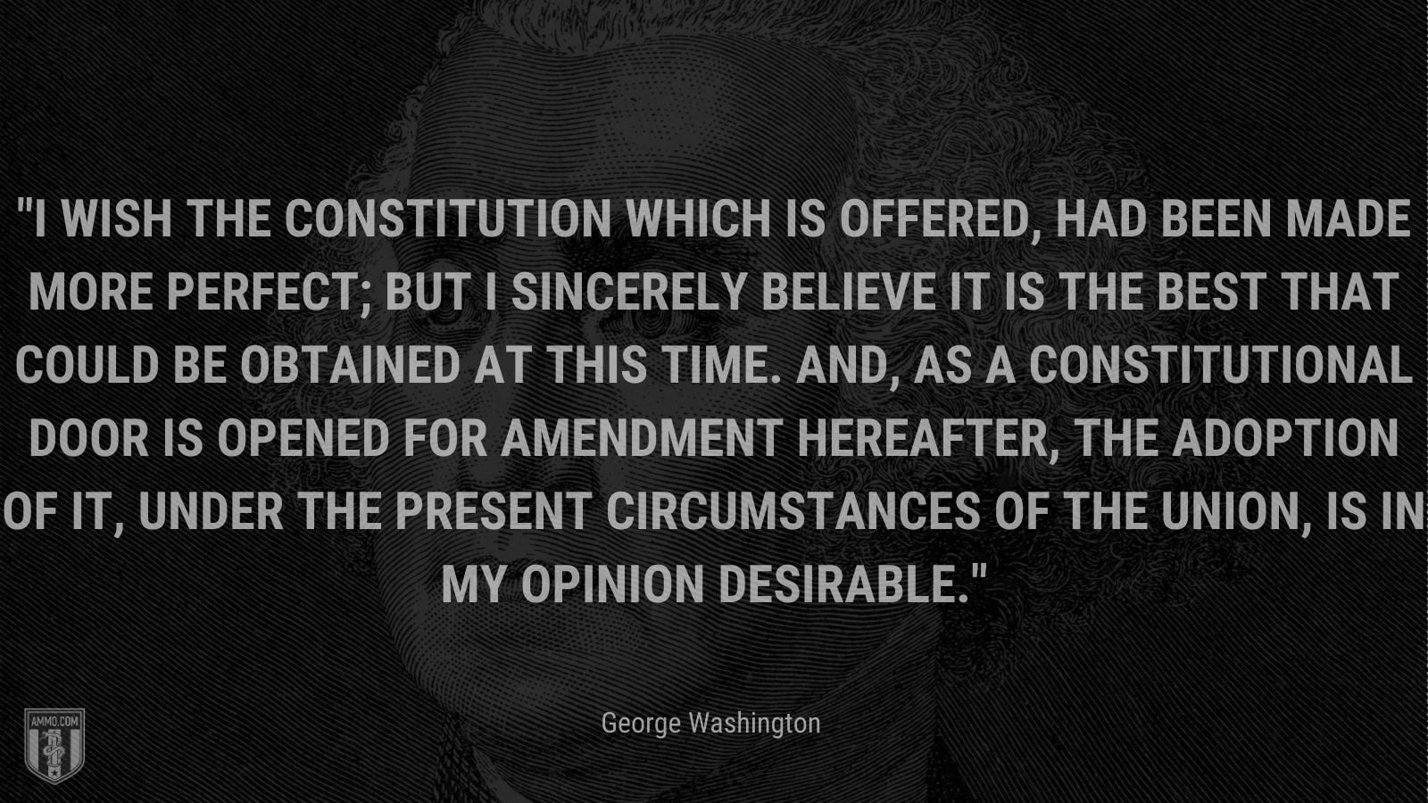 best the constitution quotes