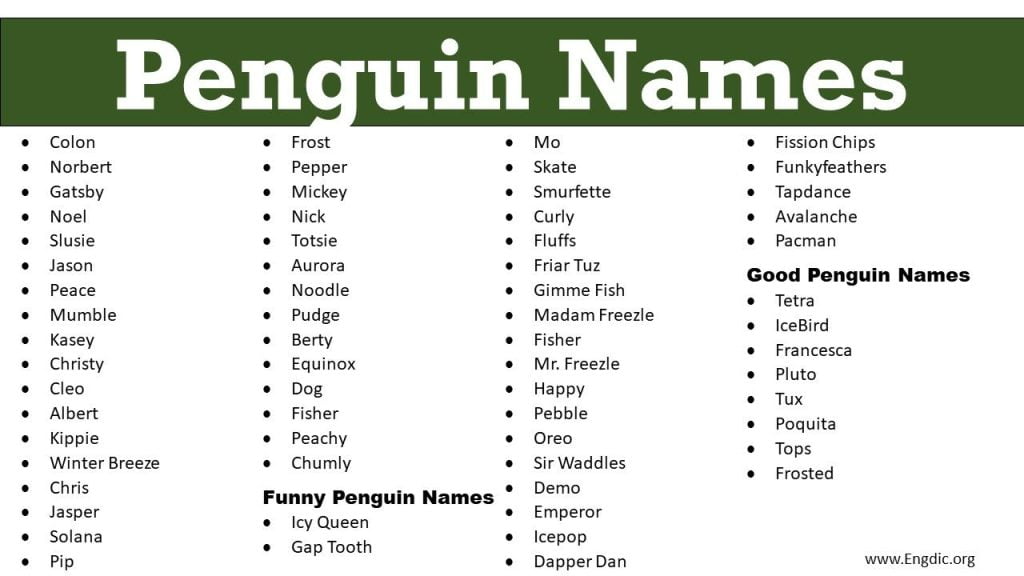 best unique name for a penguin