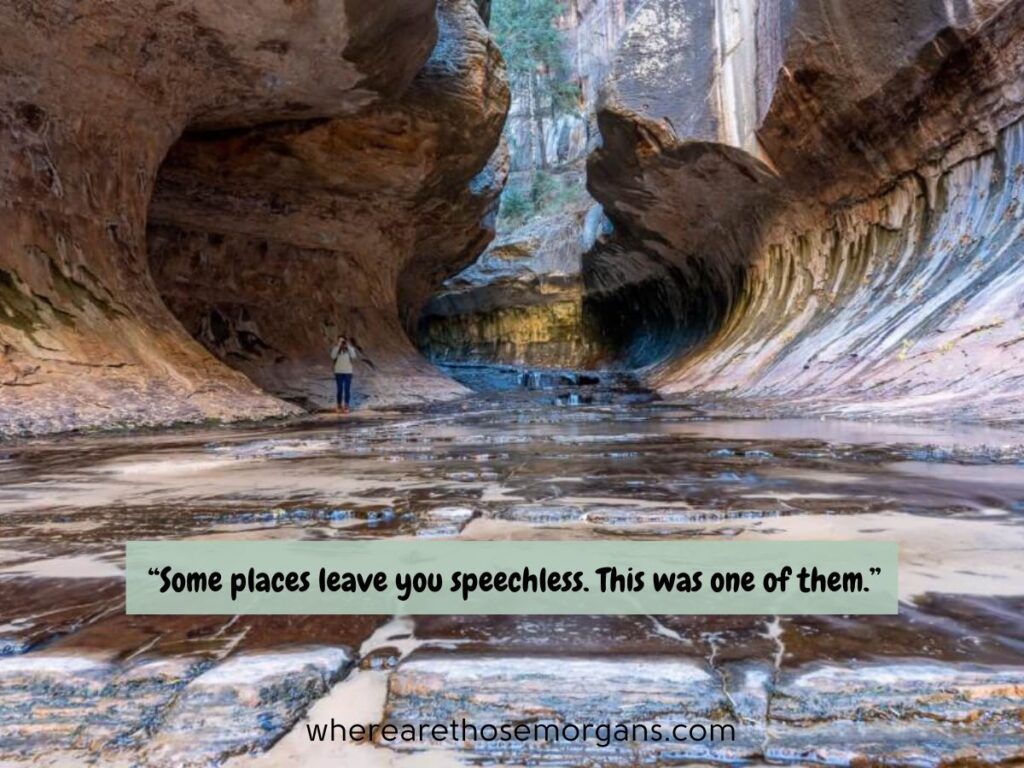 best zion national park quotes