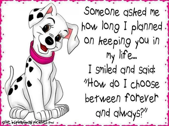 best 101 dalmatian quotes
