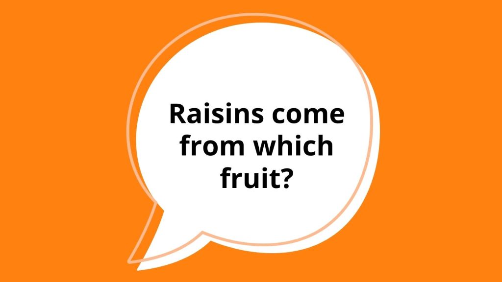 best 2nd grade history questions