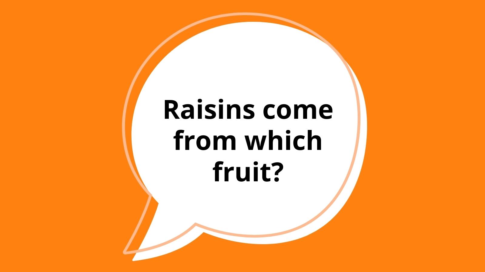 best 2nd grade history questions