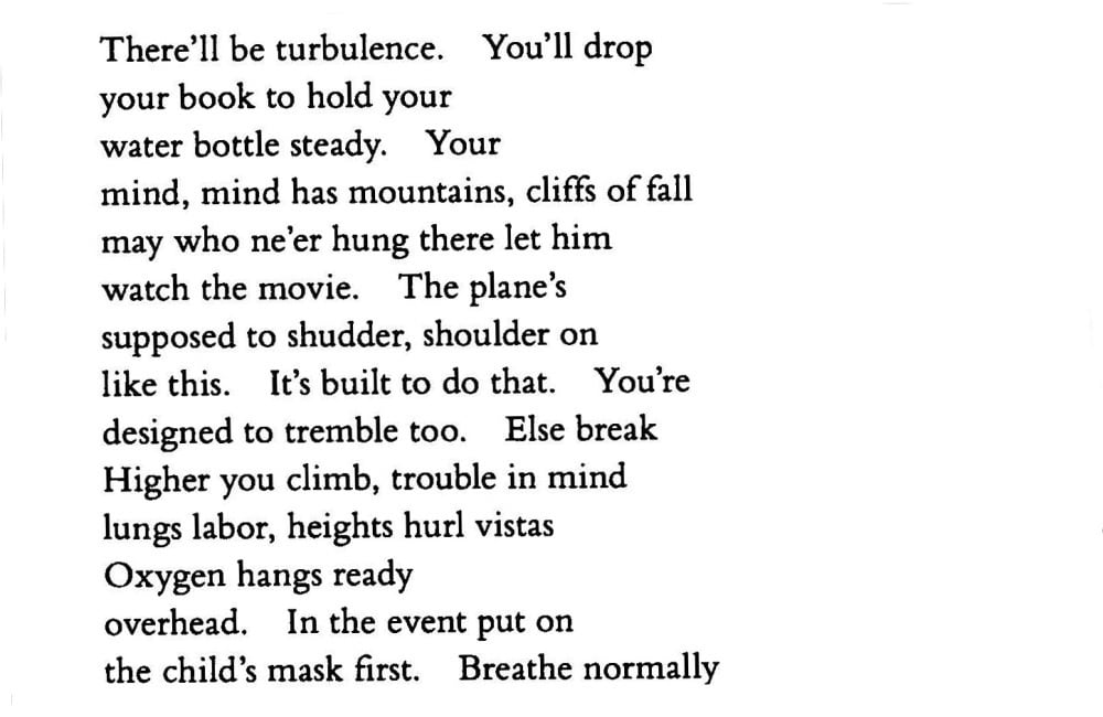 best adrienne rich feminist poems