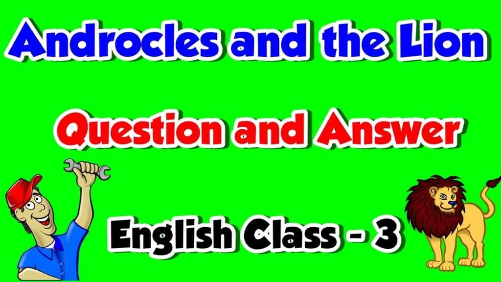 best androcles and the lion questions and answers