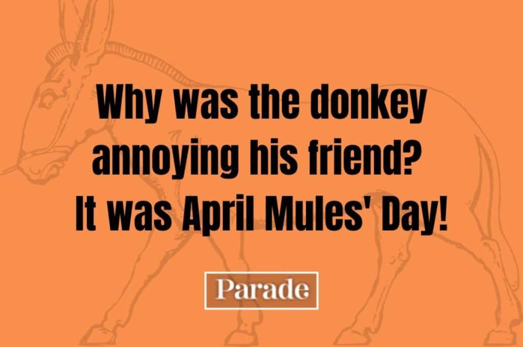 best april jokes and riddles