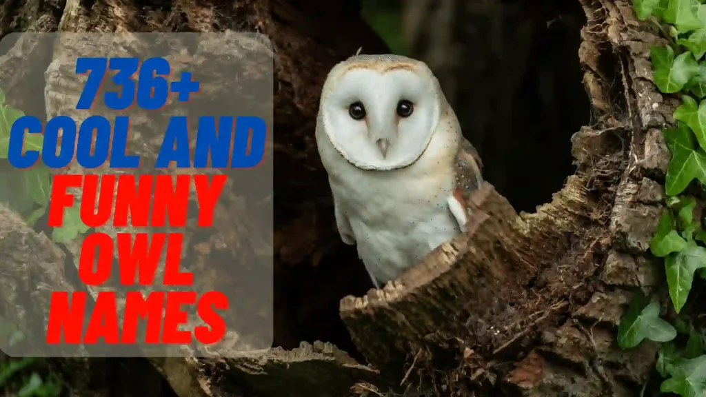 best baby name for owl