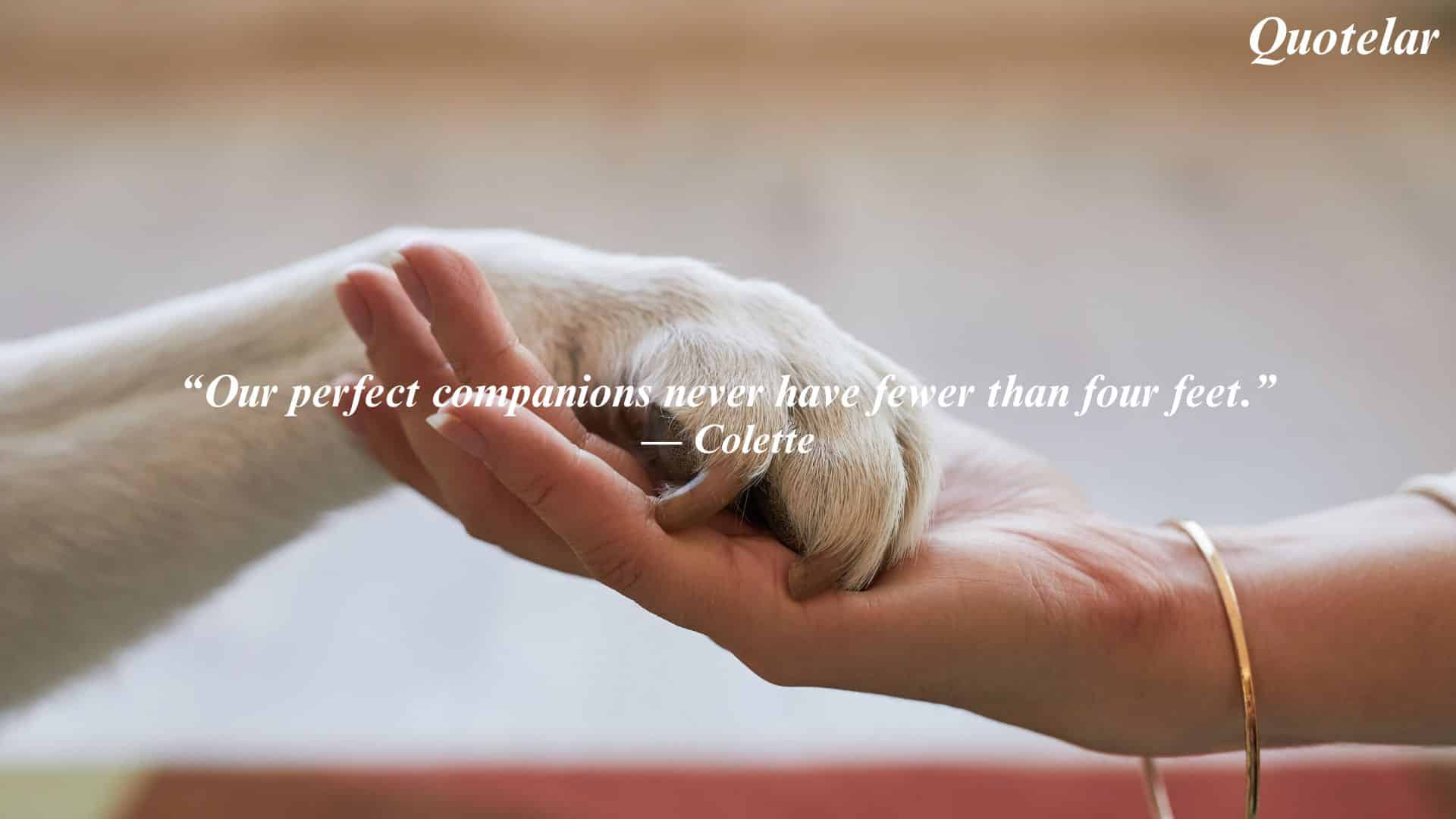 best emotional support animal quotes