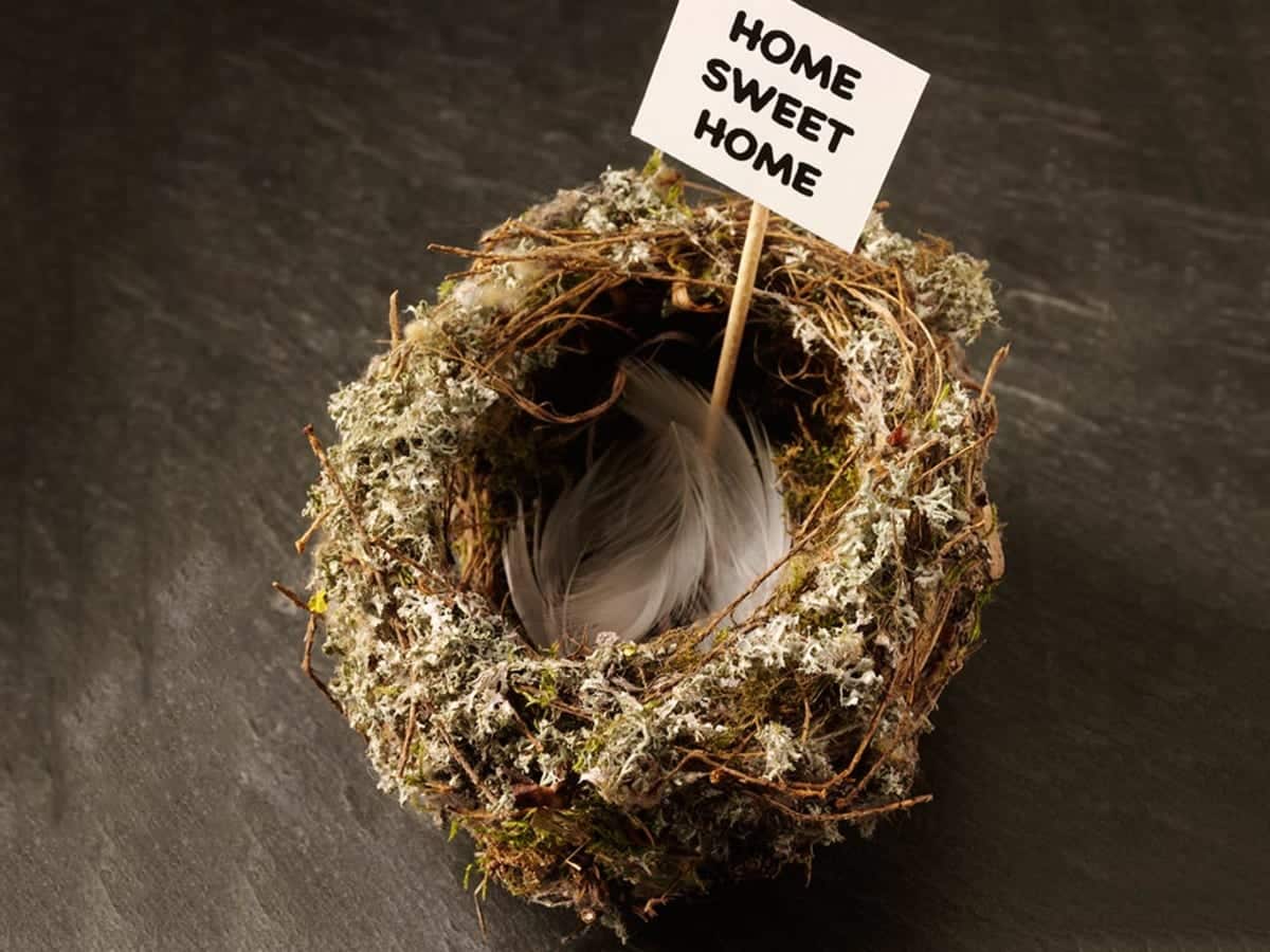 best empty nest and quotes