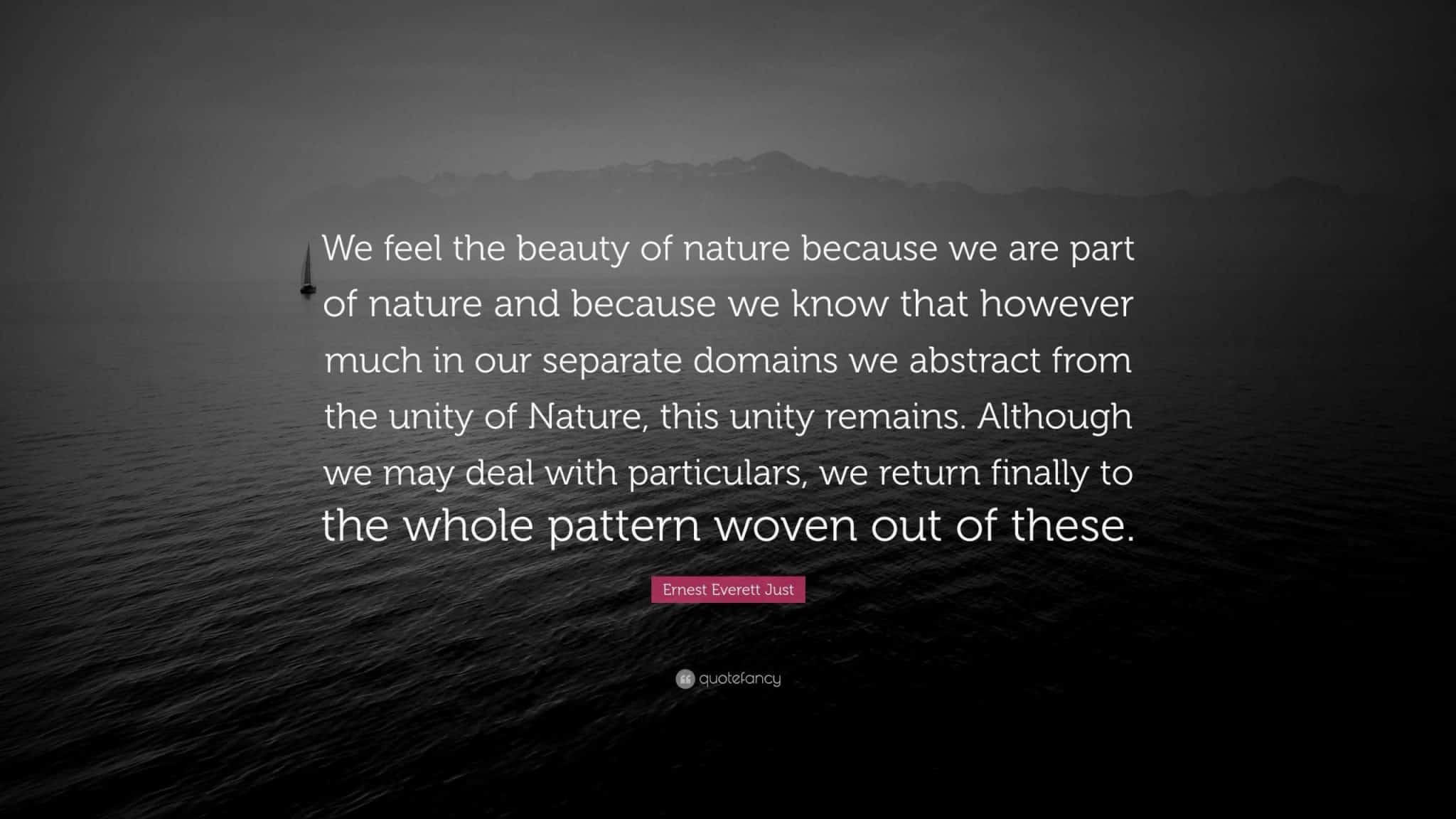 best ernest everett just quotes scaled