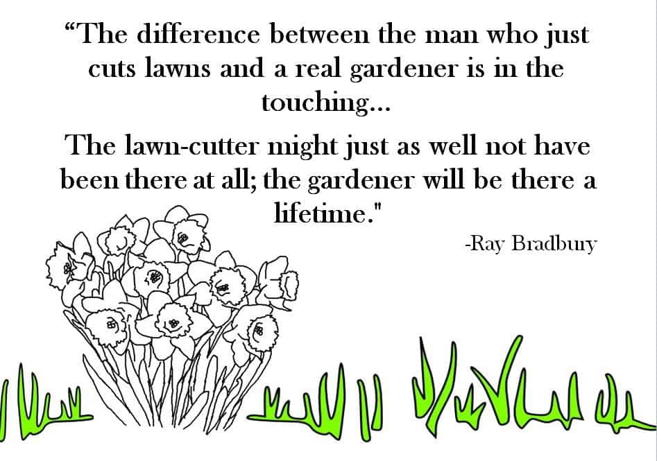 best fahrenheit 451 granger quotes