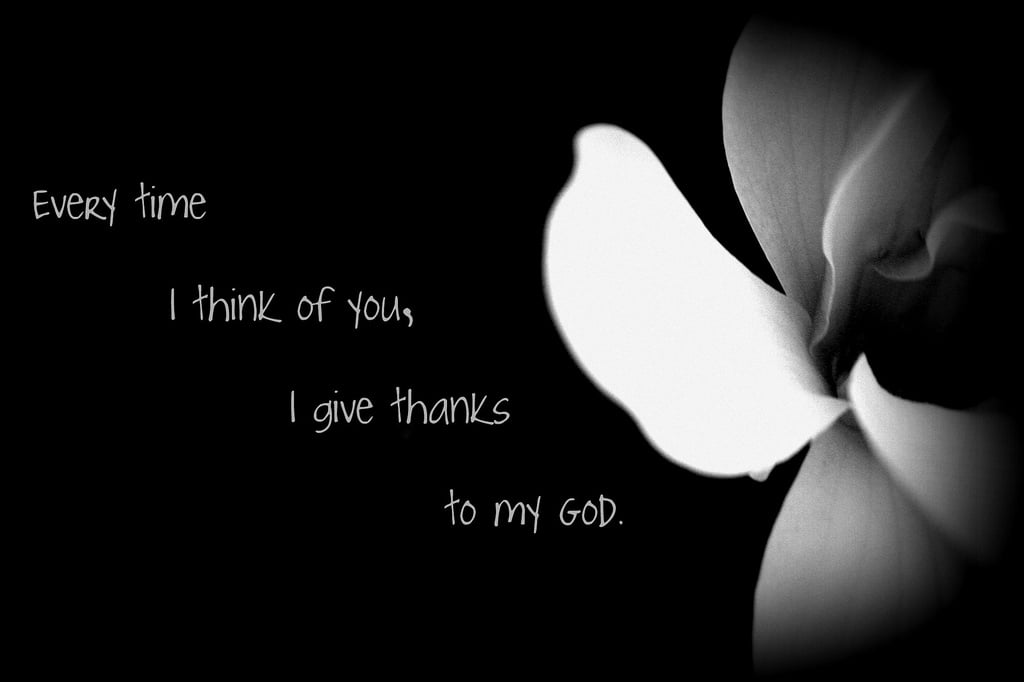 best fairweather friend quotes