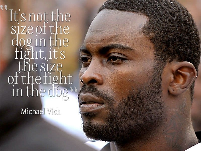 best fake quotes from historical figures