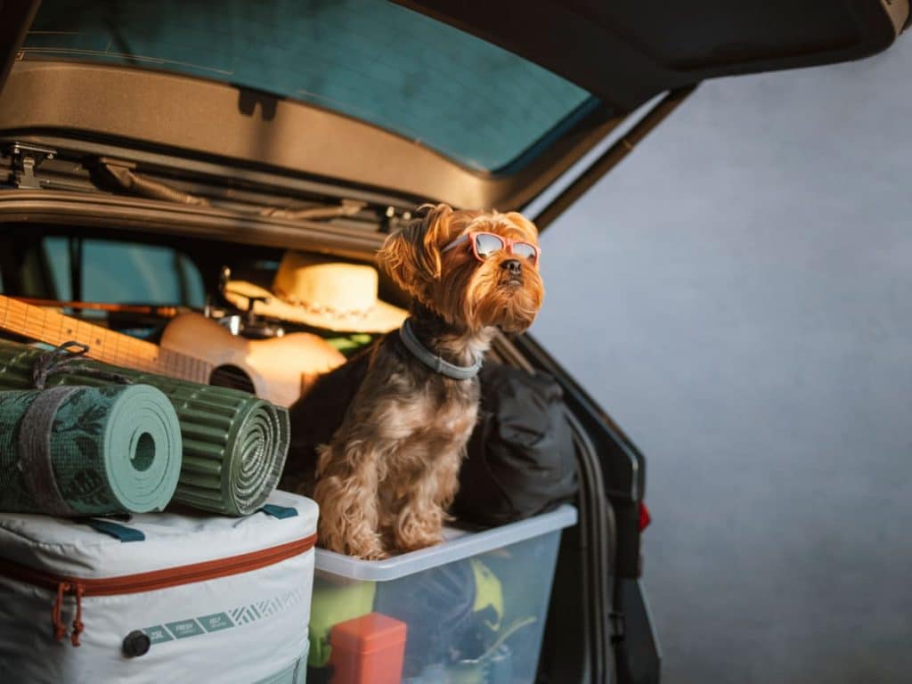 best family road trip questions