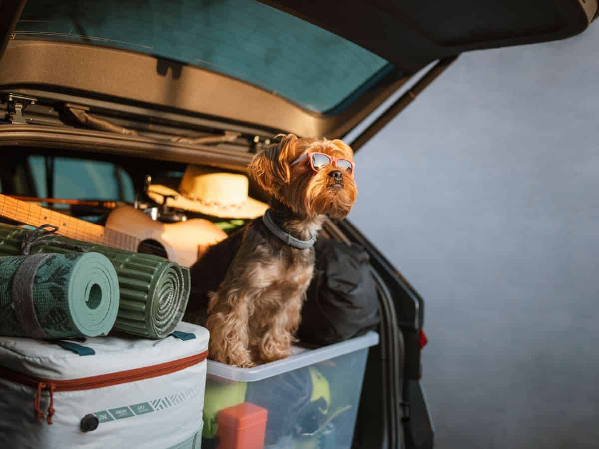 best family road trip questions