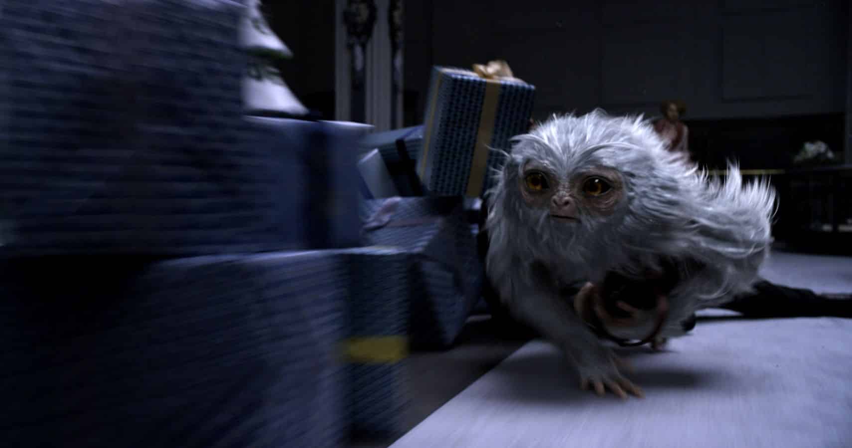 best fantastic beasts and where to find them questions