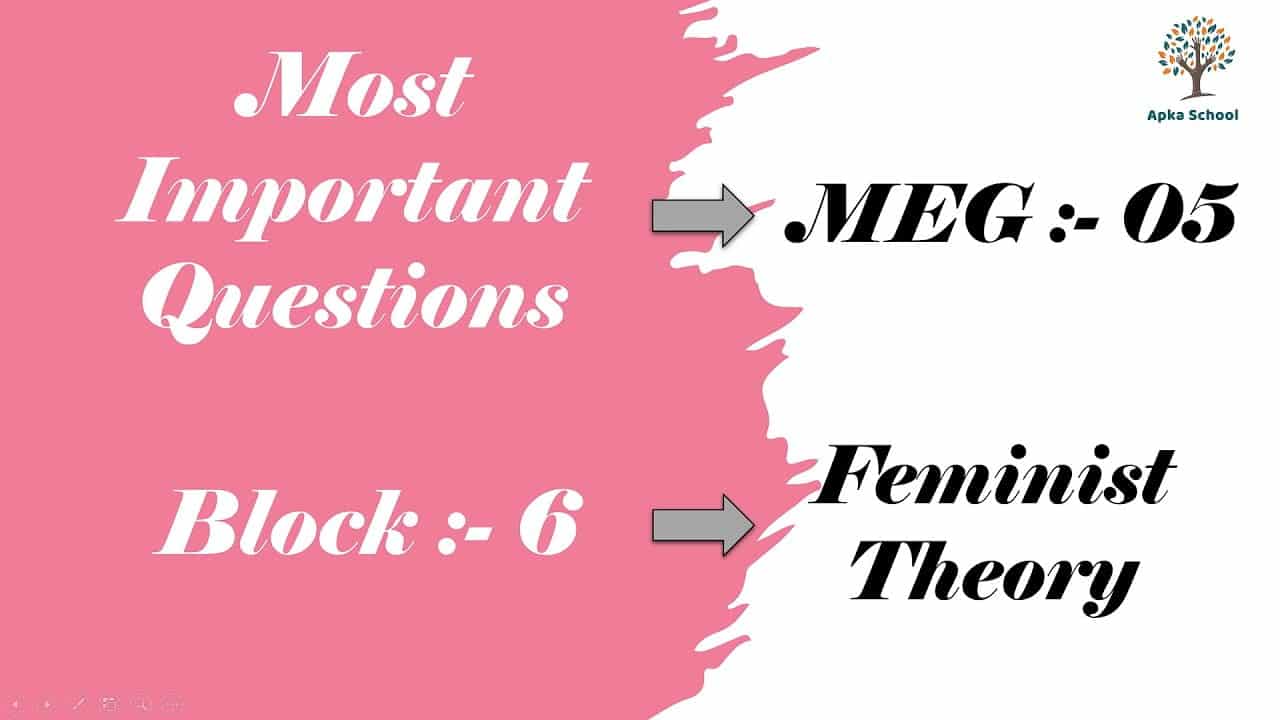 best feminist theory assessment questions