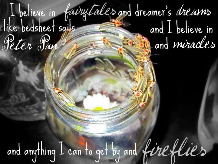 best fireflies quotes