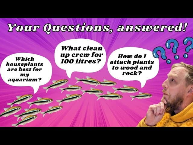 best fish questions
