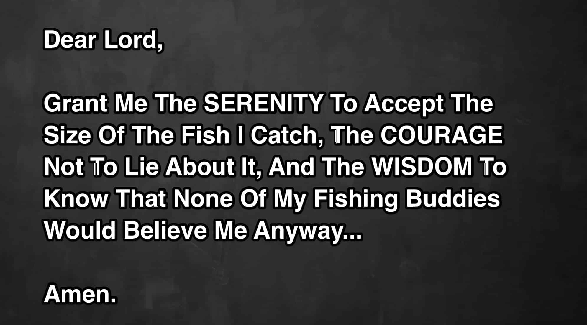 best fish quotes