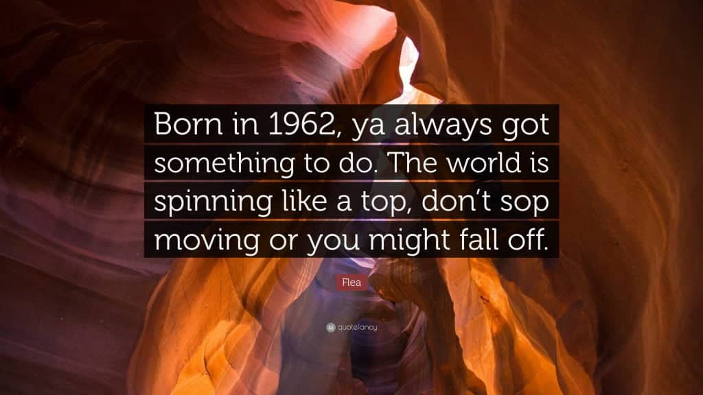 best flea quotes scaled
