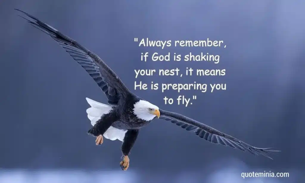 best fly like an eagle quotes