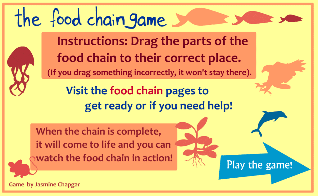 best food chain questions