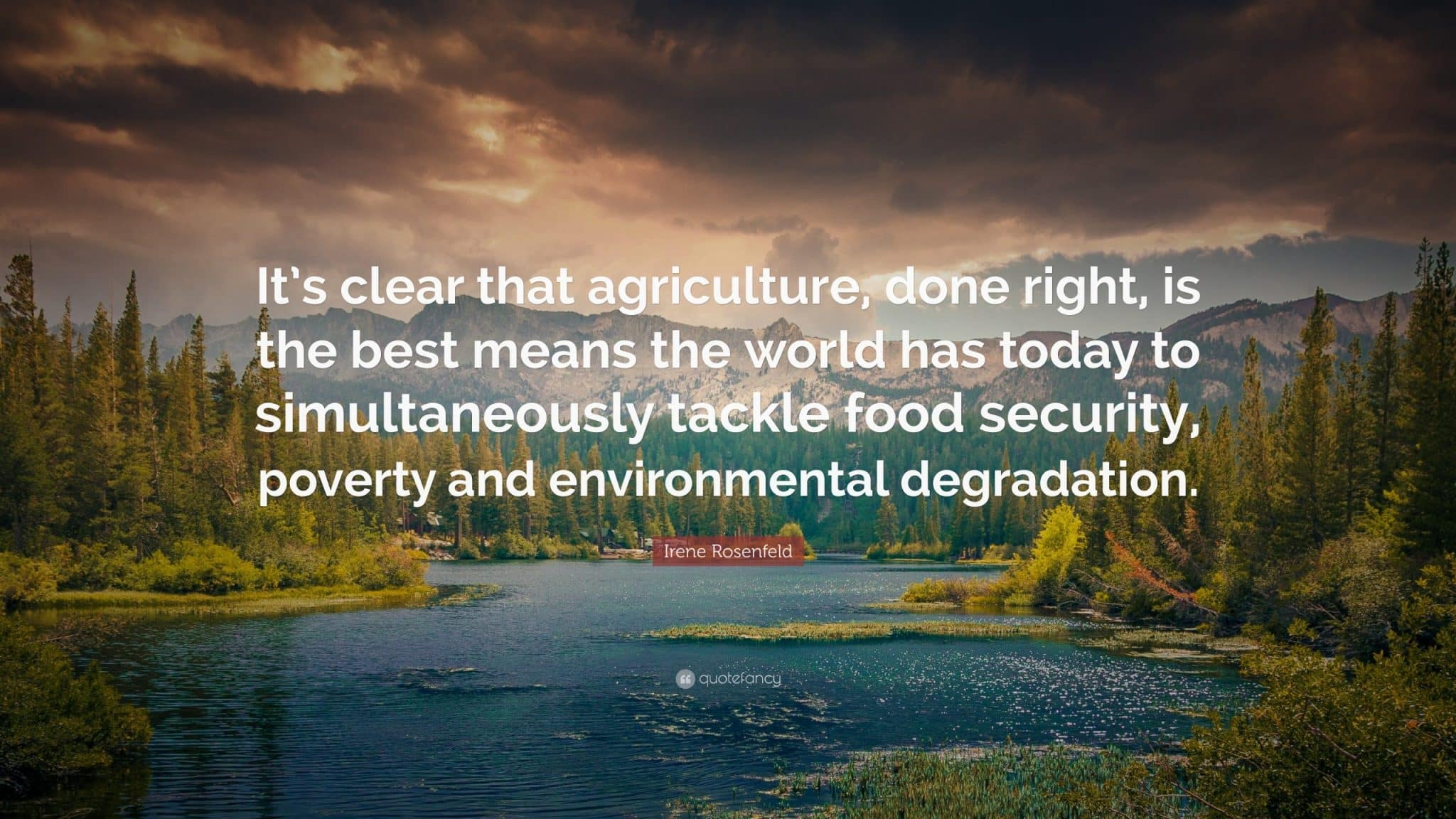best food security quotes scaled